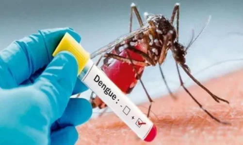 मौसम के बदलते मिजाज से बढ़ सकता है डेंगू का खतरा, मरीजों के लिए आइसोलेशन वार्ड तैयार