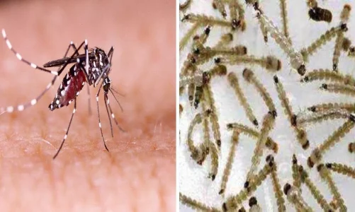 उत्तराखंड में डेंगू का प्रकोप, नगर निगम ने दिखाई सख्ती; मॉल पर लगाया 5 लाख का जुर्माना