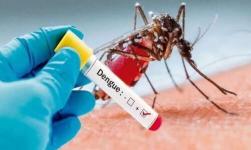 Dehradun में डेंगू-चिकनगुनिया फैलाने वाले मच्छरों पर सिस्टम ‘मेहरबान’, हाल देख आप भी कहेंगे ‘हाय राम’