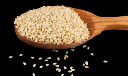 सफेद तिल के नियमित सेवन से सेहत को मिल सकते हैं कई लाभ