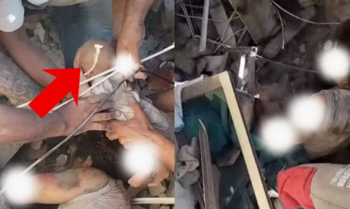 7.4 तीव्रता के भूकंप के बाद मलबे में फंसा था नवजात, रेस्क्यू टीम ने जिंदा निकाला; वीडियो ने भावुक किया